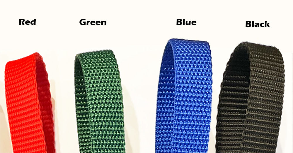 Large Dog Duo Dogs Lead Leash