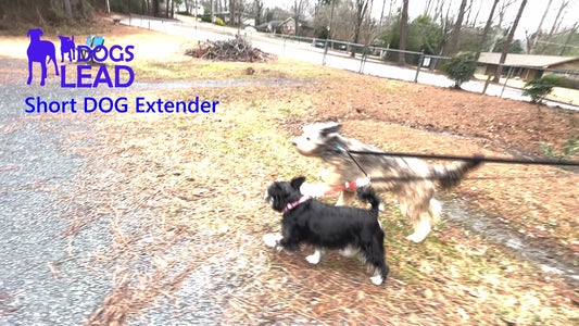 Short and Tall Extender